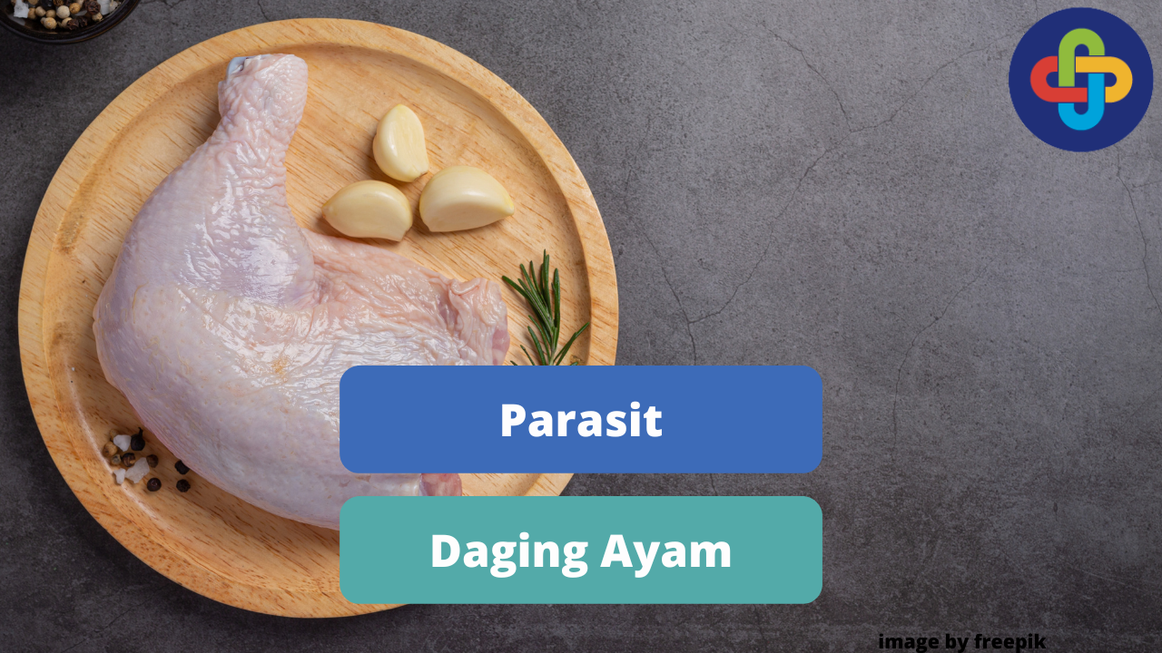 Kenali Macam - Macam Parasit Daging Ayam